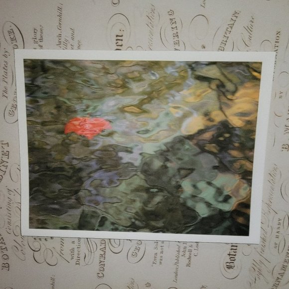 Packet of 8 Notecards - Adirondack Light 2 - Picture 8 of 12